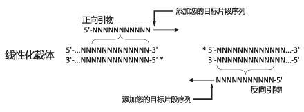 插入片段 PCR 引物设计示意图