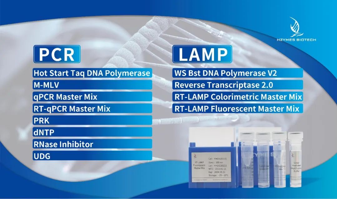 PCR LAMP