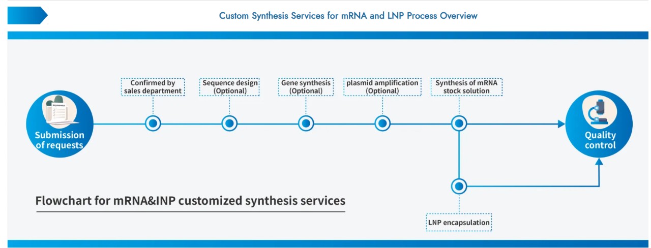 新型mRNA靶点快速合成与LNP包封服务