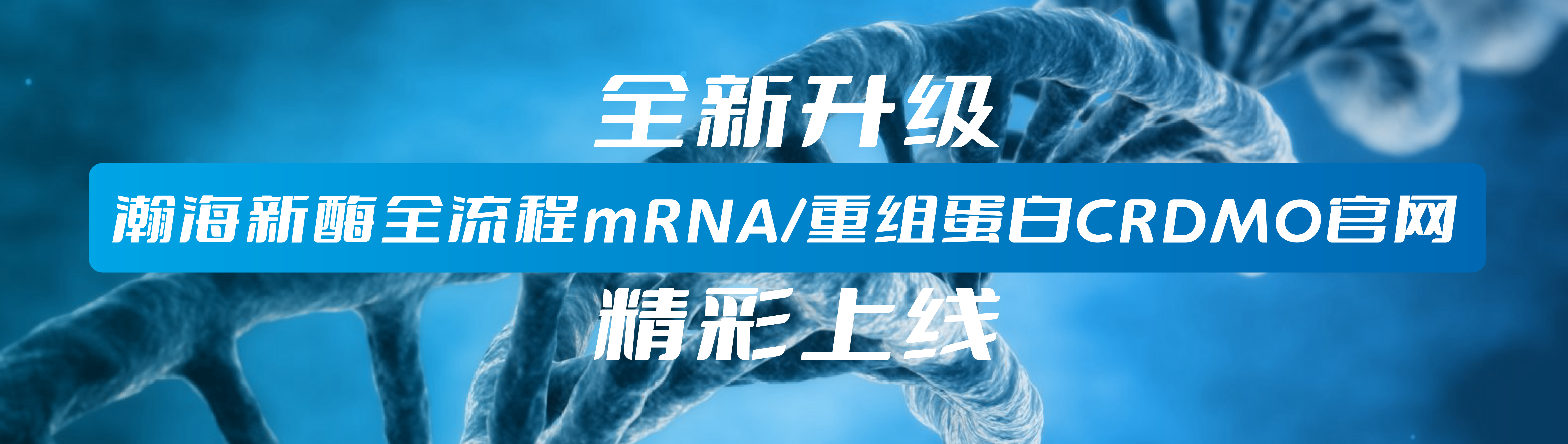 瀚海新酶全流程mRNA
