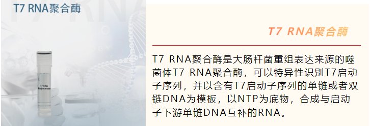 mRNA药物完整解决方案插图1