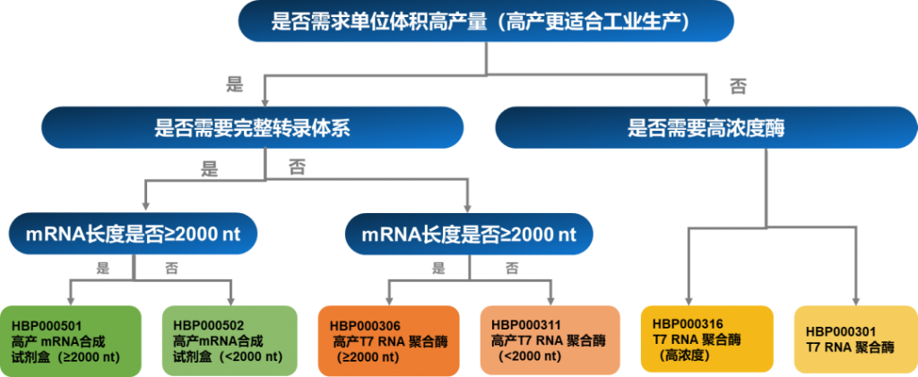 mRNA药物完整解决方案插图3