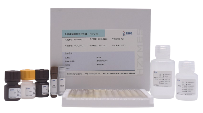 全能核酸酶检测试剂盒1.0（ELISA法）