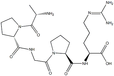 碱性磷酸酶