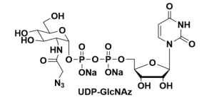 尿苷 5′-二磷酸-N-叠氮乙酰半乳糖胺二钠盐
