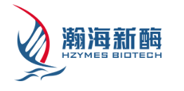 Hzymes Logo